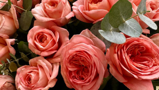 Самарцам начали распространять опасные открытки на 8 Марта