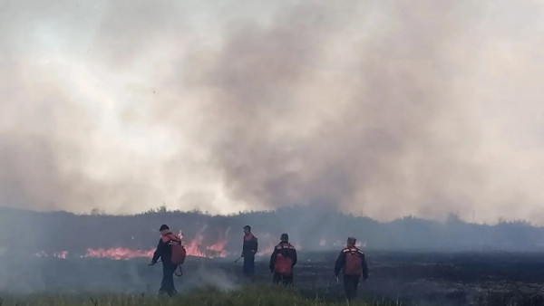 В Самарской области потушили ландшафтный пожар в Красноярском лесничестве 