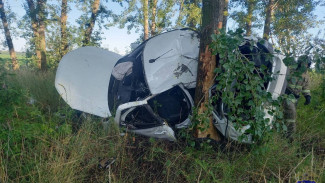 В жуткой автокатастрофе под Самарой погиб водитель