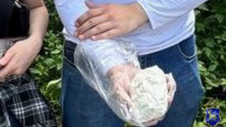 У 19-летней жительницы Самарской области изъяли 260 граммов криминальной соли