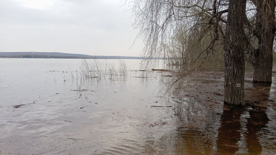Гидрологи сообщили, где в Самарской области резко прибывает вода