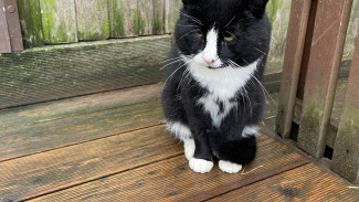 Народные приметы: 25 февраля. Помните об этом в Алексеев день, если не хотите потерпеть фиаско в любви и карьере