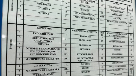 Эстетическое воспитание и этикет могут стать обязательными курсами в школах Самары