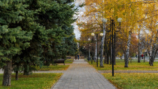В Самарской области прогнозируют аномально тёплое завершение ноября