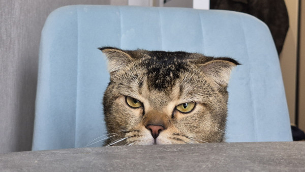 Самарцев ждут длинные праздничные выходные в феврале 2026 года