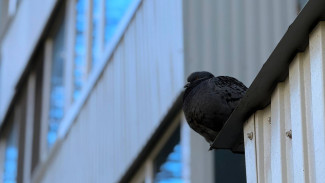 «Аварийность зашкаливает»: в прокуратуре оценили ситуацию в ЖКХ