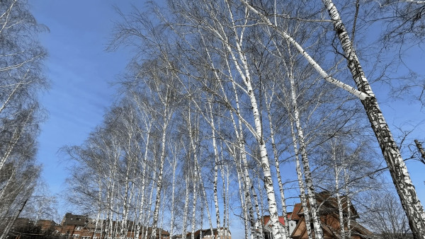 Перепад температур в 20 градусов ждет самарцев в выходные 21-23 марта