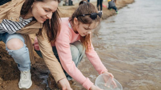 В Самарской области Волгу избавят от цветения зеленых водорослей