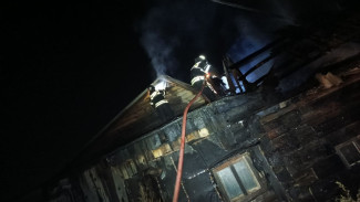 Под Самарой 30 минут тушили курятник