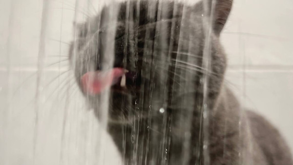 26 декабря на нескольких улицах Самары временно отключат воду