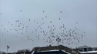 30 марта в Самарской области повторно объявили угрозу атаки БПЛА