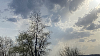 В Самаре взяли под охрану территории Мазутных озёр