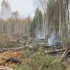 В Самарской области вторую неделю тушат пожар в заповедном бору