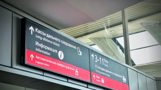 В Самарской области на 11 и 12 февраля заменят электропоезда «Ласточка»