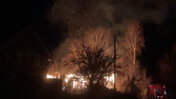 Из-за массовых пожаров в Самарской области возбудили уголовное дело