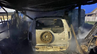 В Самарской области полностью выгорел гараж с автомобилем внутри