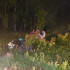 Два человека погибли в ДТП с косулей под Самарой 