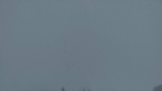 В Самарской области объявлен желтый уровень опасности 5 января из-за непогоды