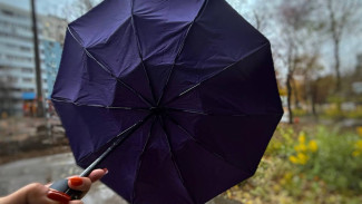 Жителей Самарской области с 10 ноября ждёт не по-ноябрьски тёплая погода