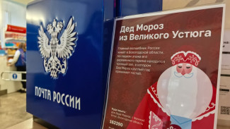 В Самаре установили почтовые ящики для писем Деду Морозу 