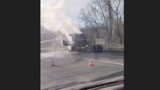 В Самарской области на ходу загорелась фура