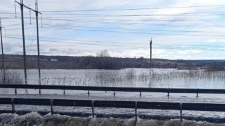 Талые воды затопили мосты в Самарской области