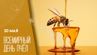 20 мая - Всемирный День пчёл