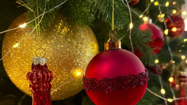 Самарцев приглашают на рыжую елку от отряда ЛизаАлерт