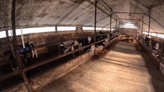 В Самарской области выявлен очаг неизлечимой инфекции