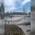 На центральной площади Тольятти высадили деревья и обустроили систему автополива