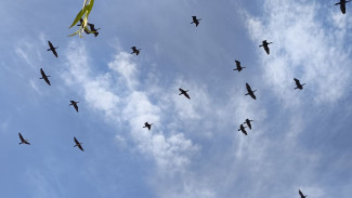 Народные приметы: 29 июля. Не делайте этого в Финогеев день, если не хотите потерять здоровье