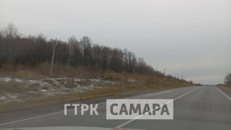 В Самарской области выпал снег 1 ноября 2024 года