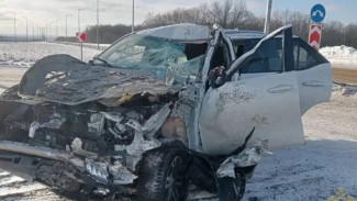 В Самарской области Toyota протаранила грузовик