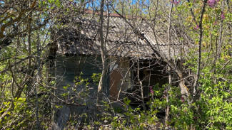 Самарцам объяснили как могут отобрать дачу из-за бесхозности