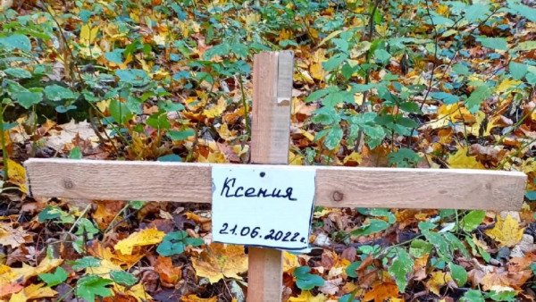 Бросает в оторопь: грибники набрели на могилы в лесу Самарской области