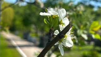 В Самарской области из-за мороза объявлено штормовое предупреждение