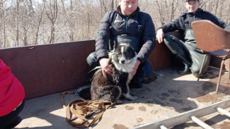 Самарцы организовали сбор гуманитарной помощи пострадавшим от наводнения в Орске