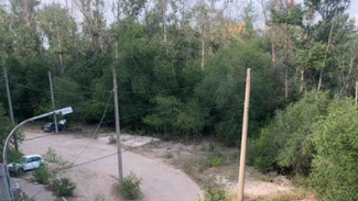 Самарцы выступили против застройки леса около реки Татьянки