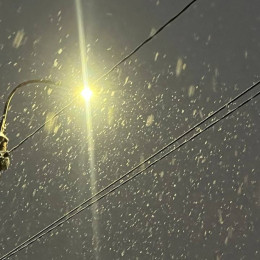 На Самарскую область 12 и 13 февраля обрушится штормовой ветер