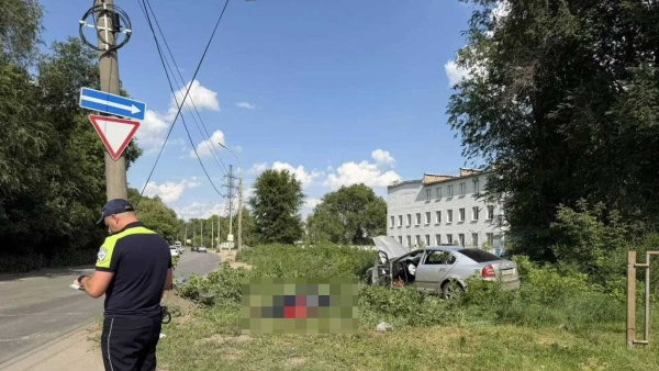 Полиция рассказала, кто погиб в ДТП с Skoda Octavia и столбом на Литвинова в Самаре