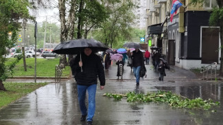 В Самаре вновь введен желтый уровень опасности из-за ветра до 20 м/с