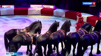 Жители удаленных уголков Самарской области смогли насладиться цирковым представлением