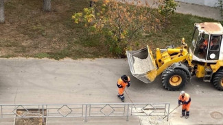 В Самаре выкорчевали деревья и заасфальтировали место их посадки на Самарской