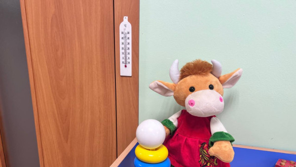 Глава СКР А. Бастрыкин потребовал доклад по делу об истязании детей в Самарской области