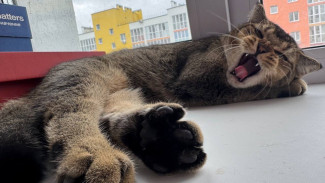 Самарцам рассказали о дополнительном выходном дне в конце 2025 года