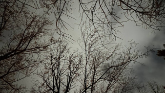 Два человека погибли в результате атаки БПЛА на жилой дом в Сызрани