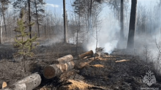 В Самарской области вспыхнул лес 3 апреля