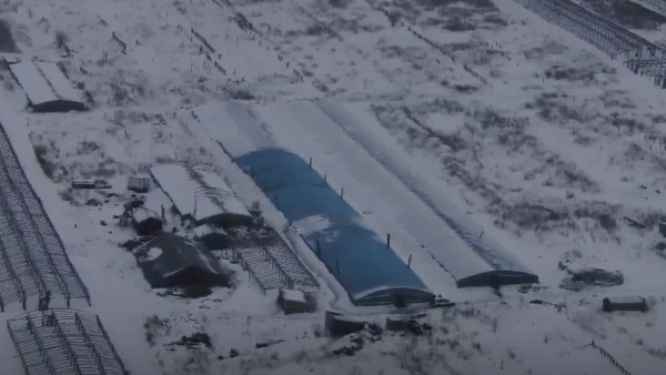 Рейд по теплицам под Самарой: поймали 13 мигрантов