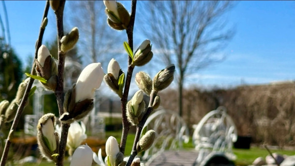 10 апреля День Илариона — выверни оглобли: почему категорически нельзя отправляться в дорогу