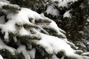 В Самарскую область 10 февраля пришли трескучие морозы до -25 градусов